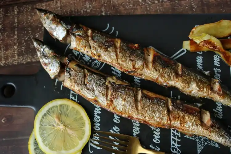 壁纸 动物 鱼 鱼类 1600_1066