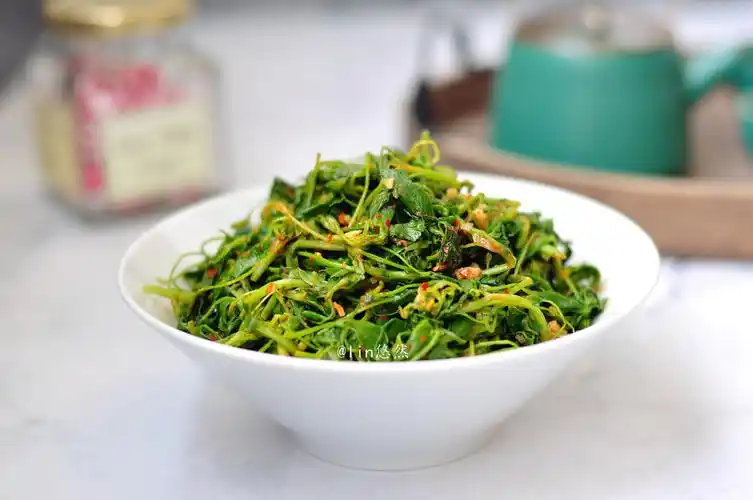 摘一把苜蓿芽,十分钟让它变成一盘美味又爽口的凉拌菜,春季不尝鲜更待