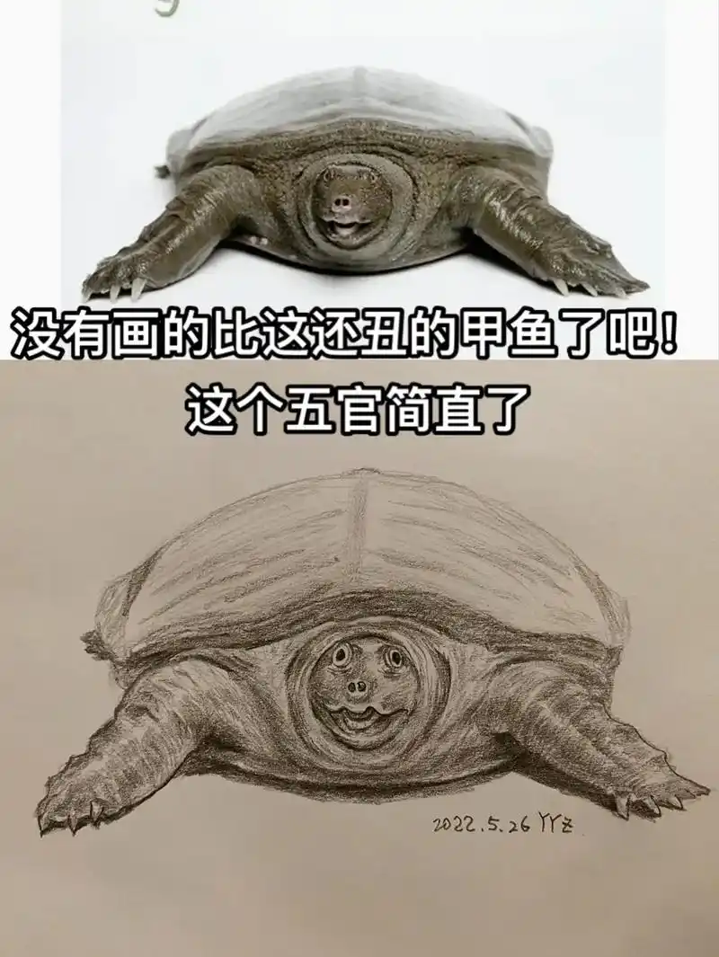 甲鱼汤好香啊#画画 - 抖音