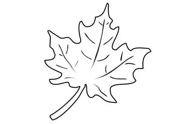 漂亮的秋天 strong>枫叶简笔画 /strong>教程