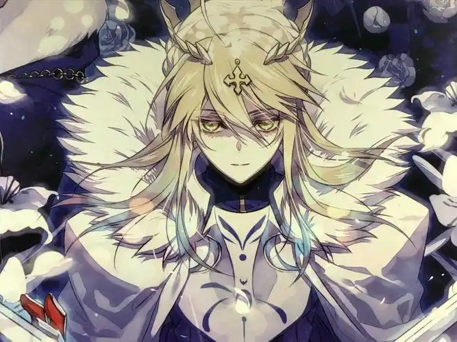 fgo图片:白枪呆(王啊,您的梦该醒了)