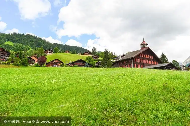 瑞士以山为背景的村庄.