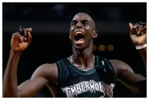 对比完差距一目了然|雷阿伦|加内特|热火_新浪新闻