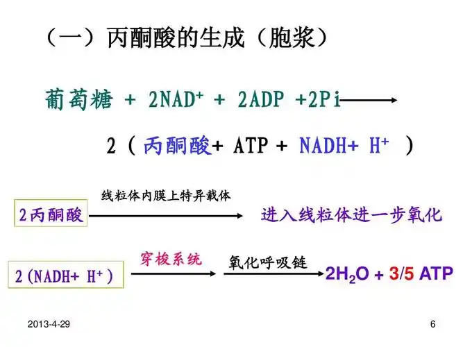 第八章-3 糖有氧氧化ppt