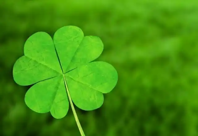 心理测试选一颗幸运草测你未来三个月的运势