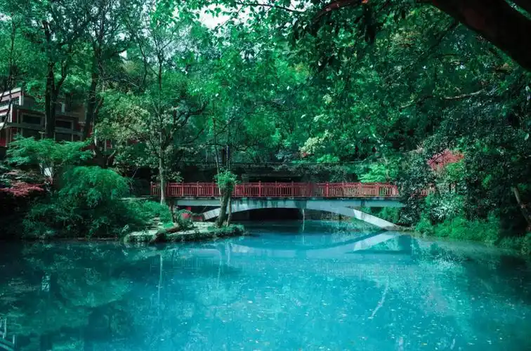 夏日静谧绿色风格