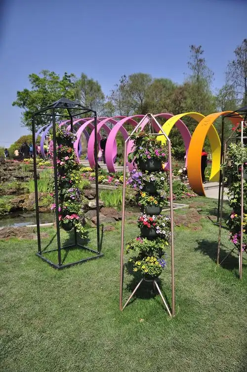 在今年的2021上海(国际)花展的新优植物展区中,由浙江虹越花卉股份