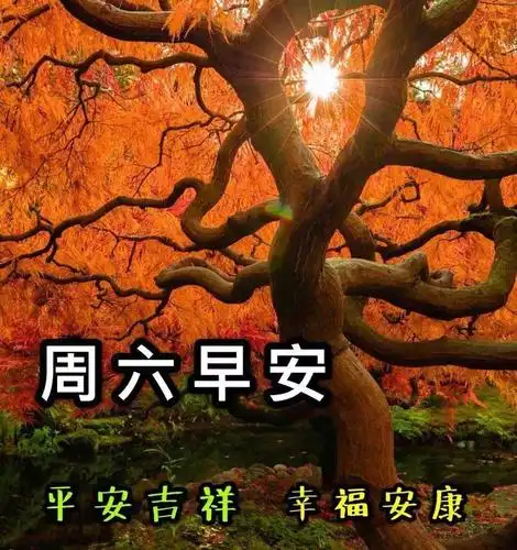 周六早安,5张非常漂亮的周六早上好动态图片 早安带字带祝福语_问候