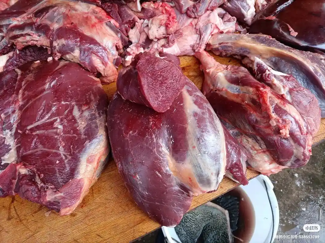 每天现宰本地土黄牛.#上熱门 #现宰黄牛肉 #每天都是新鲜食 - 抖音