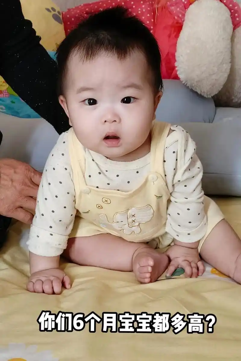 你们六个月的宝宝都多高?