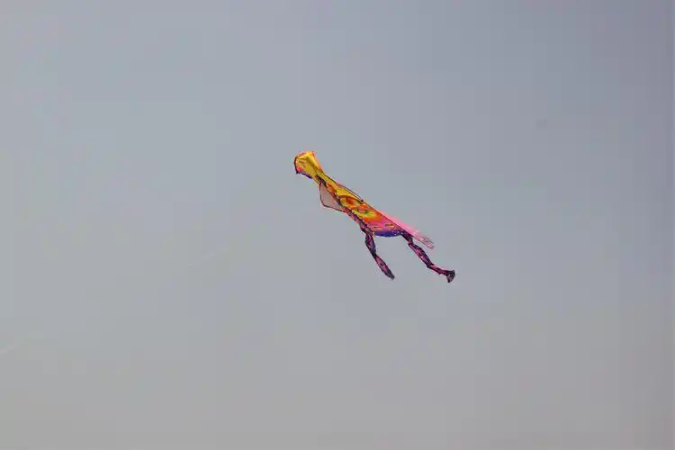 我的风筝飞上天啦