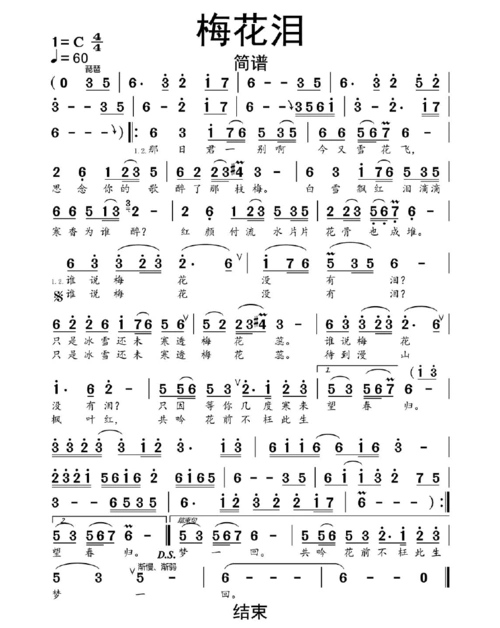 梅花泪简谱乐谱