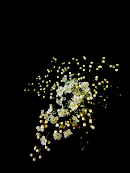 黑色给了我美的幻想