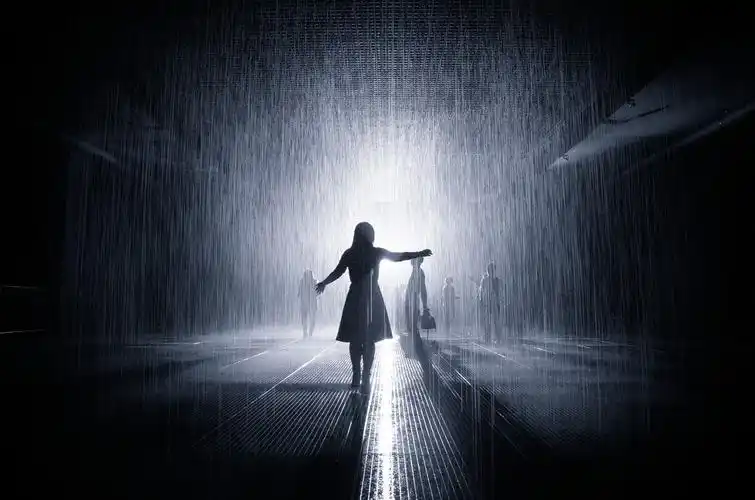 在屋外打伞避雨的我们花150块屋内去淋雨