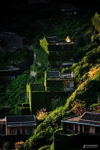 舟山枸杞岛无人村