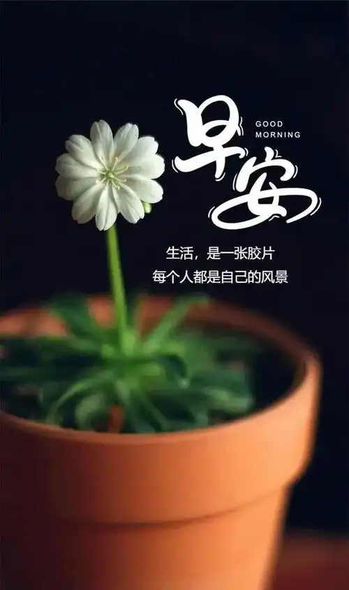 「2021.12.18」早安心语,正能量朋友圈说说文案,早上好心情短语