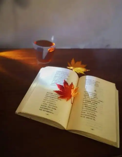 捧一卷书,沏一杯茶,在袅袅茶香中品味悠悠书韵.