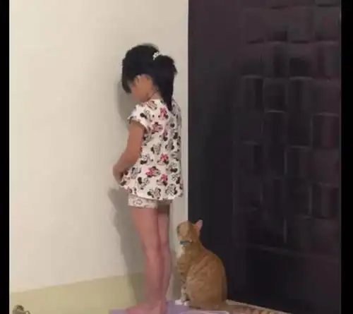 女儿被罚站在墙角反省,猫咪看见后也陪着她一起站着,好有爱!