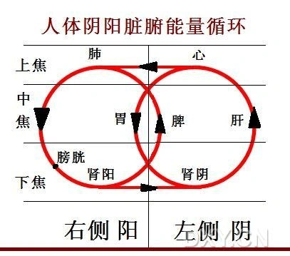 如何学中医 日从东方冉冉起,水在西边沥沥声; 肾水养肝能涵木