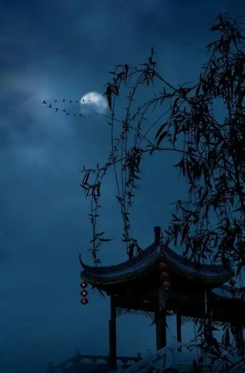 时光白驹过隙,唯月色千古不变|明月|月夜|沈周|月下|残月_网易订阅