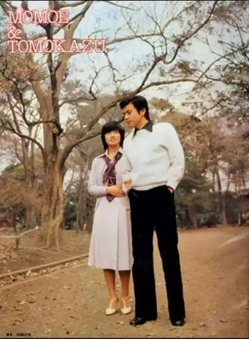 三浦友和一如既往在引领潮流穿绿西装叠穿马甲新潮正派又元气