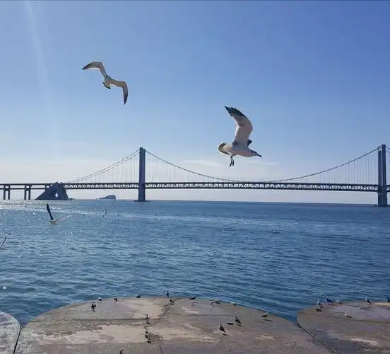 大连市星海湾广埸及星海湾大桥,风景优美.