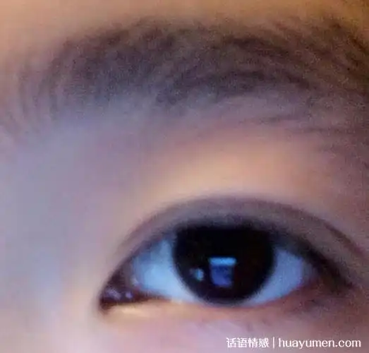 龙眼男什么意思什么梗,像龙眼一样外表不起眼内心坚强