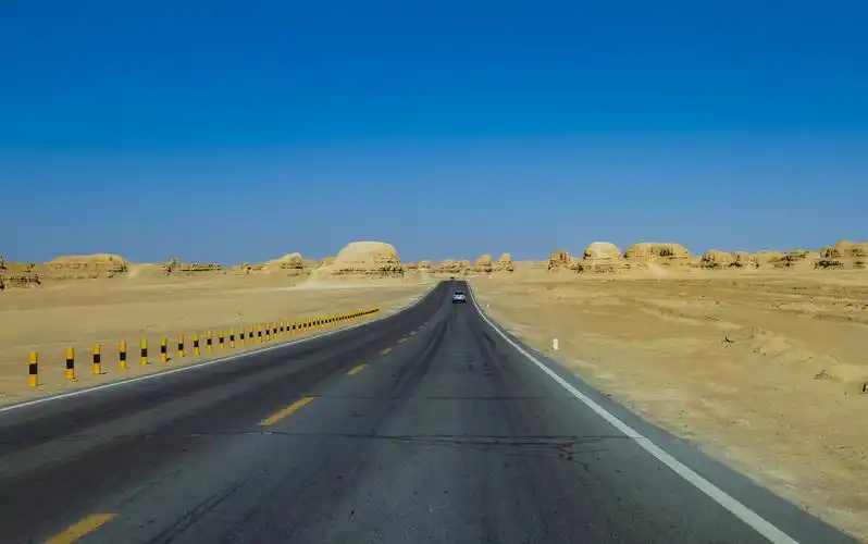 2020年国庆长假青甘大环线,内蒙胡杨林摄影100张 - 最美的风景在路上