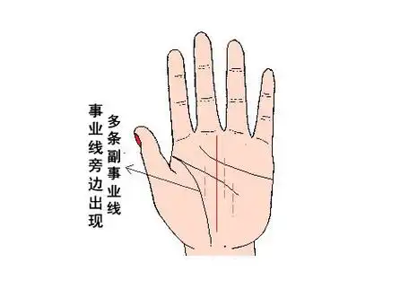 手相图解事业线男人下垂-七七游戏网