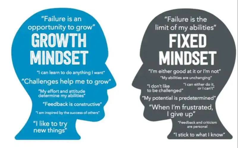 【英语|教育学】成长型思维模式 growth mindset vs 固定思维模式