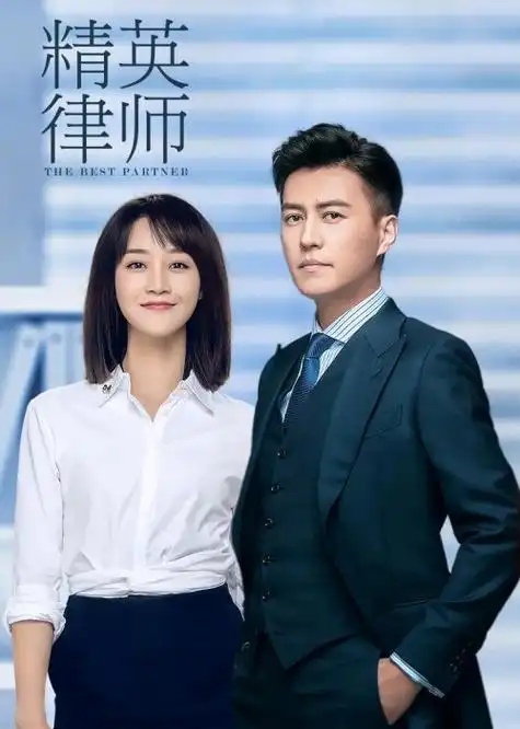 精英律师影视剧简介