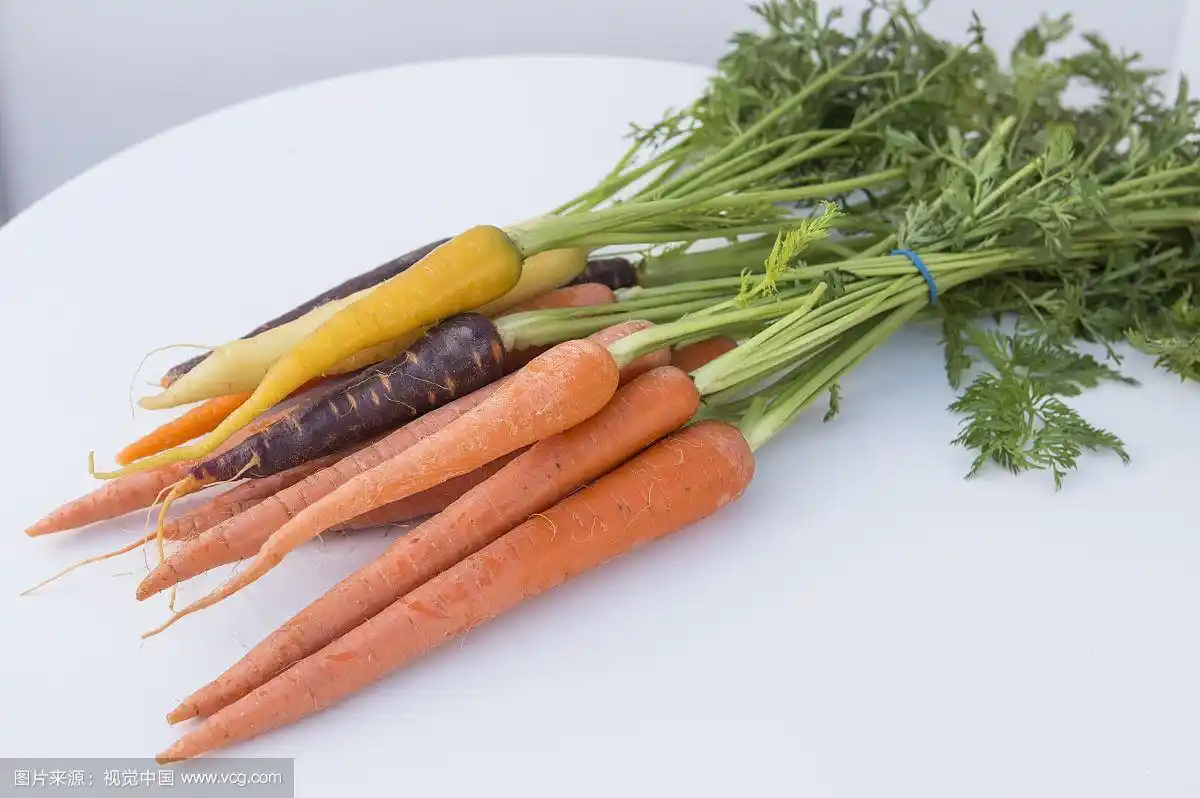 红萝卜,萝卜,根茎蔬菜
