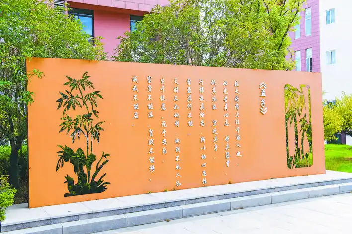 合肥一六八陶冲湖中学谱写教育新篇