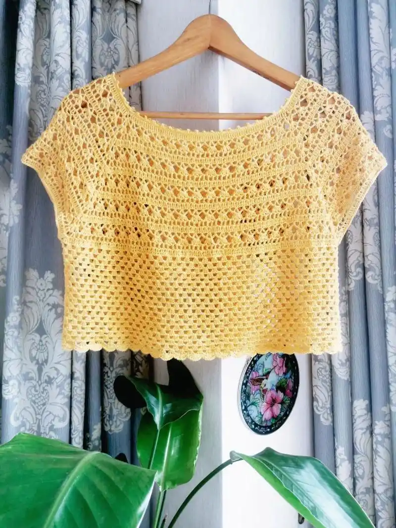 钩针‖插肩袖镂空短袖套头衫图解 从上往下钩的.