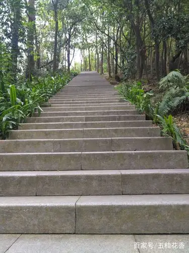 人生犹如这阶梯,步步高升后的风景会更阔美!