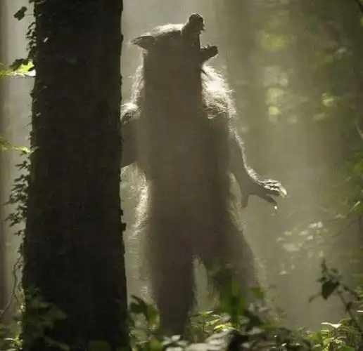 国外惊现狼人原来狼人竟真的存在还长这样吓坏居民