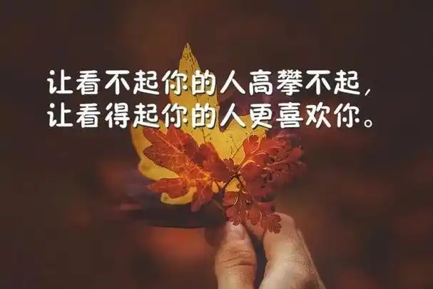 朋友圈一发就会被秒赞的句子和配图 - 唯美句子图片- 不二励志语录