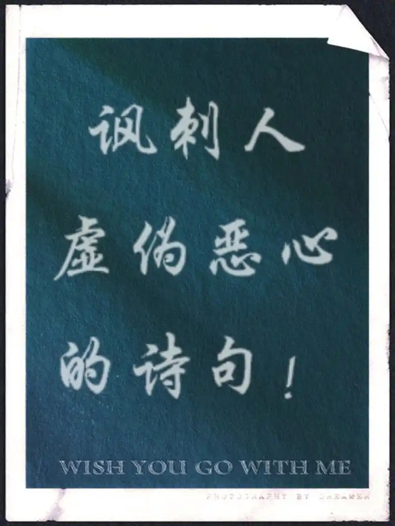 7115讽刺人虚伪恶心08的诗句!