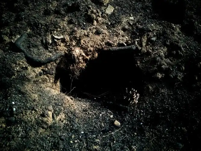 浴火后的虹螺山