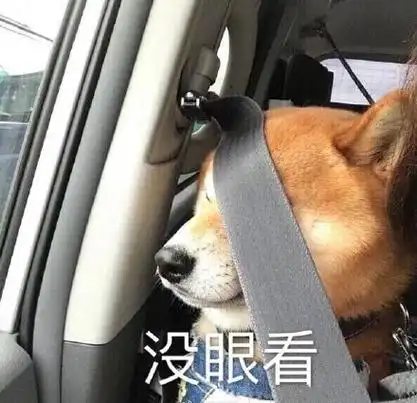 没眼看 - 近期热门无水印表情包(都是萌宠)_萌宠_萌萌哒_萌宠_萌萌哒