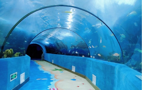经开区合肥海洋世界海底隧道 (图源:摄影师周西珊)