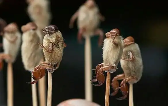 北京特产妫川毛猴