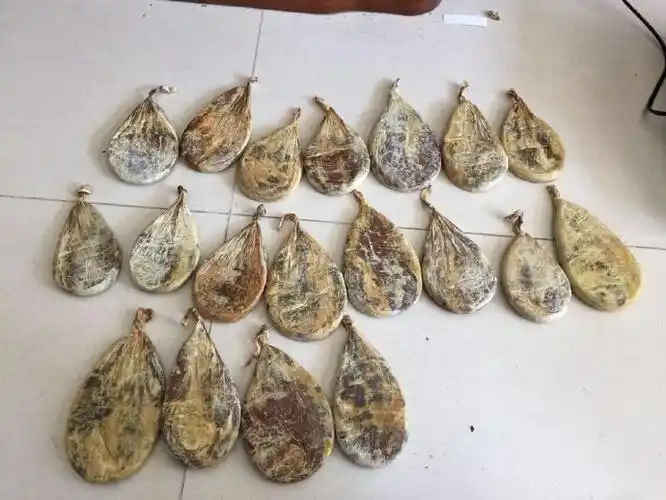 潮汕男子携39只熊胆从俄罗斯入境获刑3年罚3万