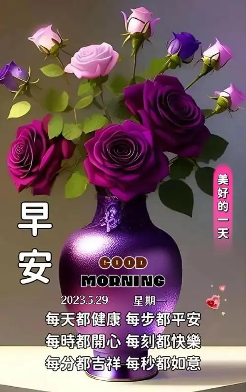 5.29」周一早上好,早安问候祝福图片