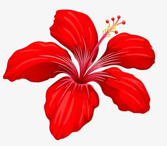 背景元素 卡通/手绘 > 一朵小红花 收藏 [声明] 觅元素所有素材为用户