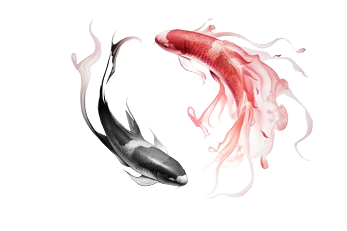 抠图.拜托抠下太极鱼,不要阴影.