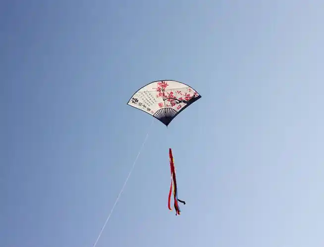 602019梅花扇子风筝儿童卡通中小型风筝线轮套餐520礼物29米格子布