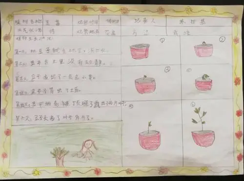 写美篇同学们精心制作的植物成长记录