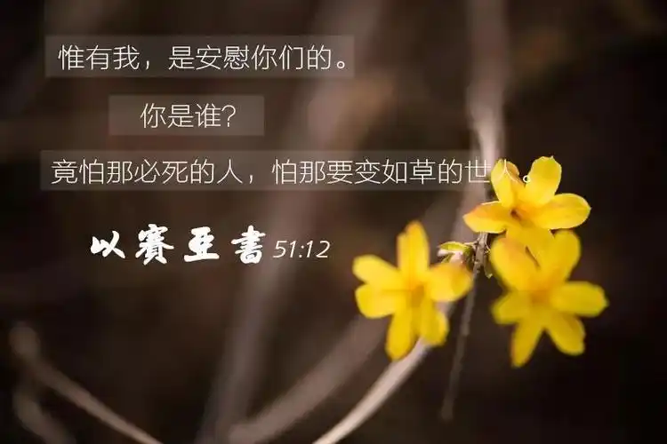 太美了圣经经文金句图片