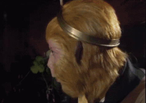 唐僧|师徒|西游记_新浪新闻